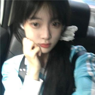 福宝驾到财运起航