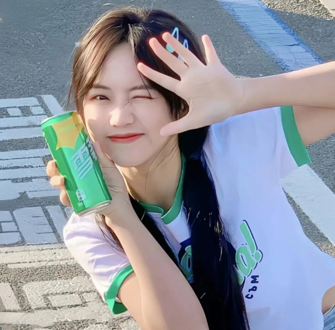 驯龙高手：归家